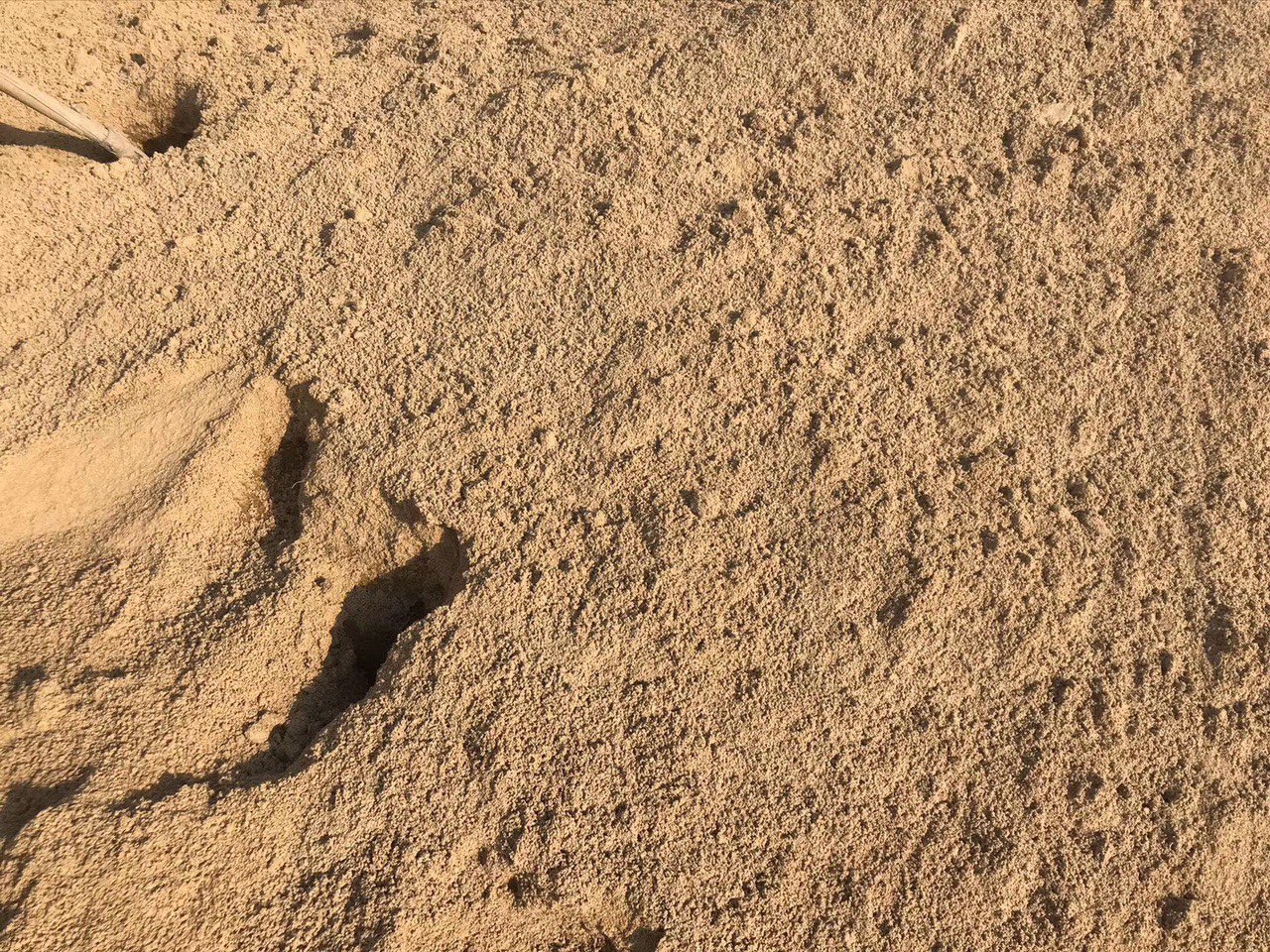 溧阳黄沙批发